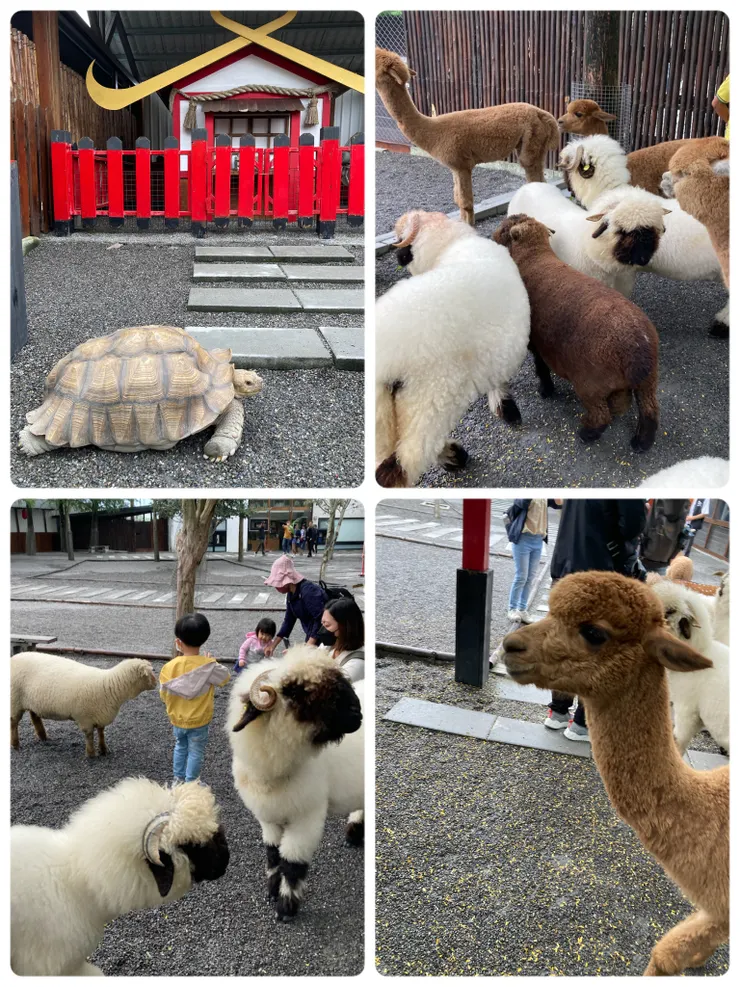 到處趴趴走的大型動物們