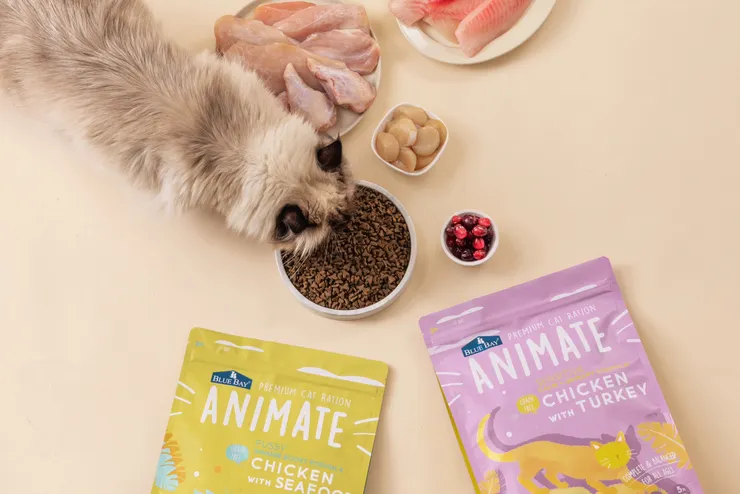 圖說:倍力寵物健康食品旗下犬貓糧,雙雙通過AAFCO餵食測試,不只是亞洲第一,更徹底破除貓咪低血鉀疑雲。(資料來源:倍力寵物健康食品)