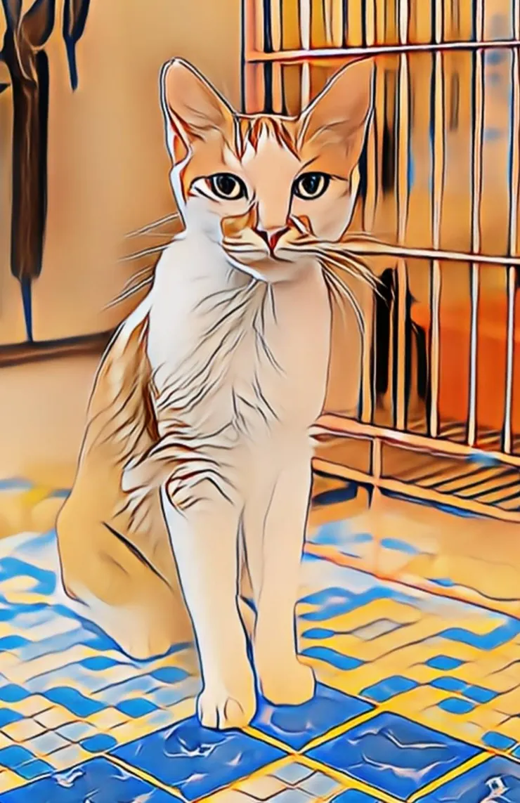 小穎  A1照片處理