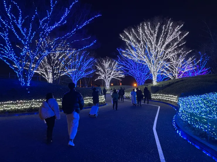 下車後須走一段才會到售票處