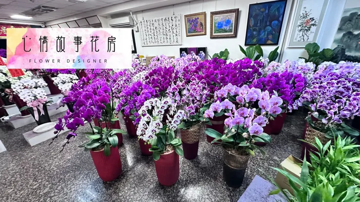 台南少數使用「出口等級蘭花」的花店｜重要場合送禮，一定要知道心情故事花房