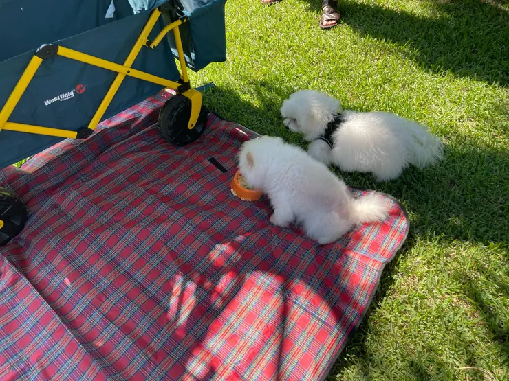 看來園方準備的鮮食口味不錯