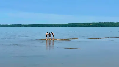 多多魚春遊加拿大