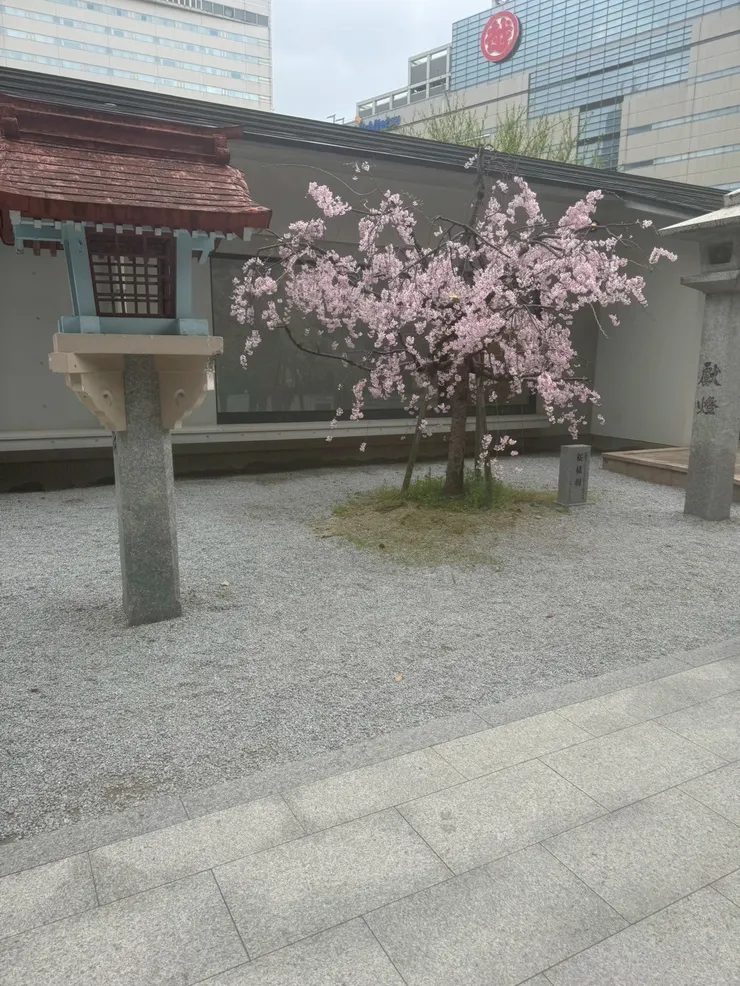 非常吸引人注意一個角落