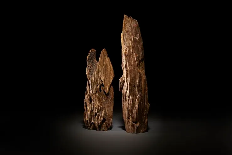 圖片來自Pinterest