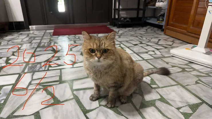 媽媽拍攝於 2025/6/2