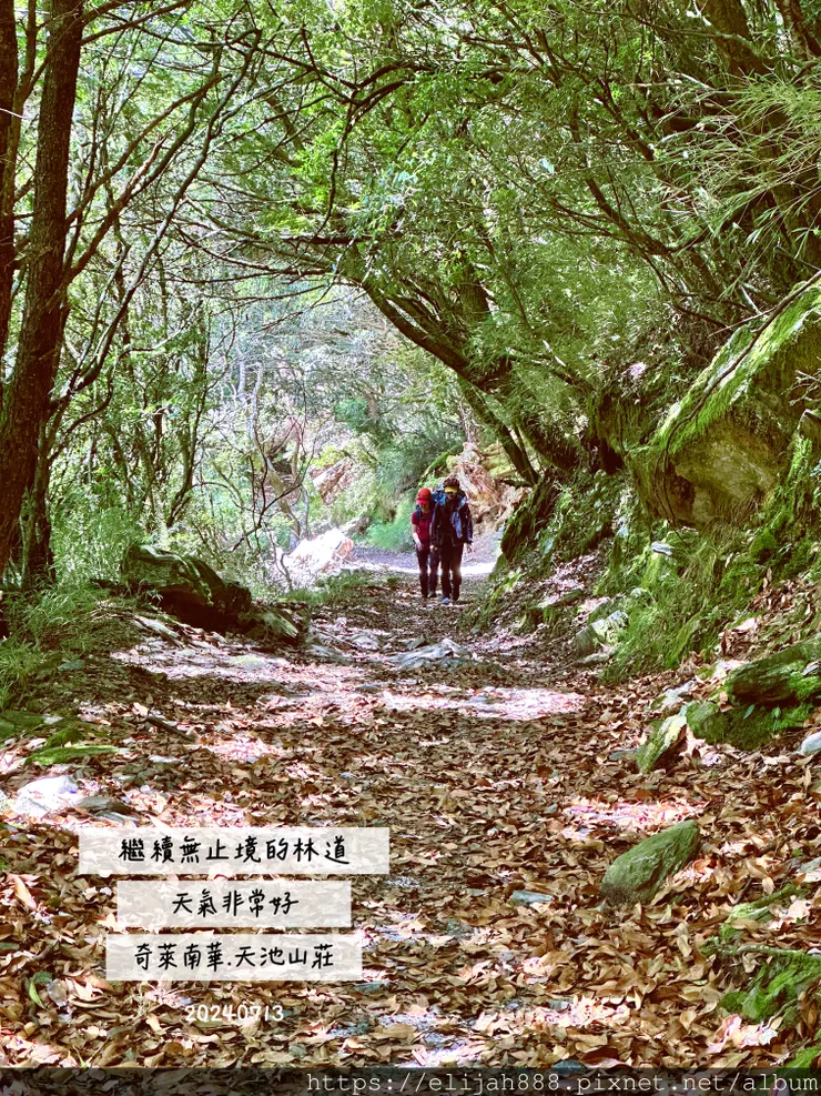 【2024夏。高繞上奇萊南華2天1夜】雲天宮出發高繞路線4.