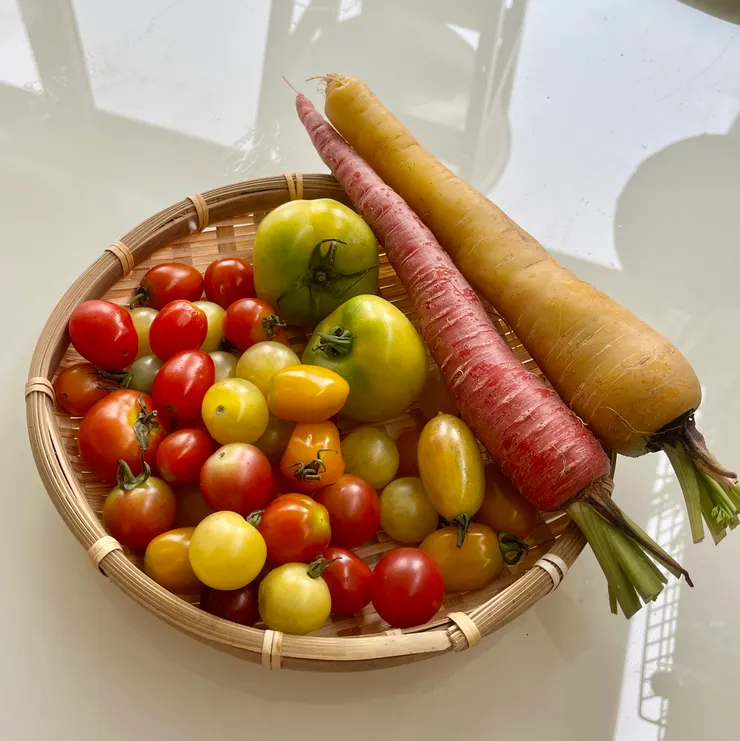 剛搬家時買的蕃茄跟蘿蔔們