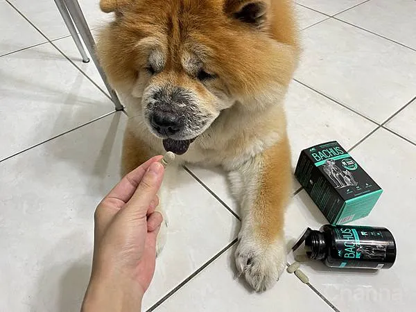 2023 新品上市「王品寵物」-BACHUS瑞士巴吉斯保健錠