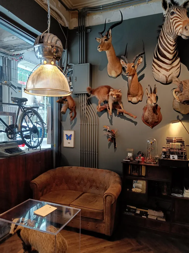 店門口靠窗位子已讓我下巴合不起來