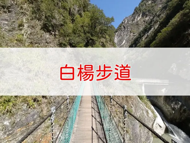 【花蓮】白楊步道 | 全長里程：單程2.1公里 | 難易度：低，適合各年齡層