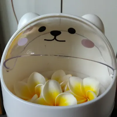 薩恩迪耶Sunday的沙龍