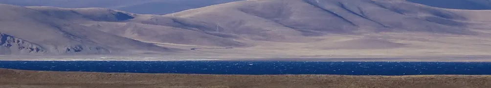 溫小志愛波比的沙龍