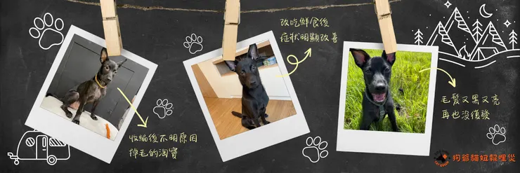 社長淘寶改變飲食後，毛髮又黑又亮