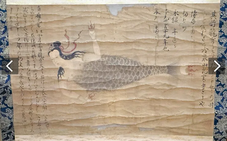 龍宮寺保存、畫有人魚的掛軸。