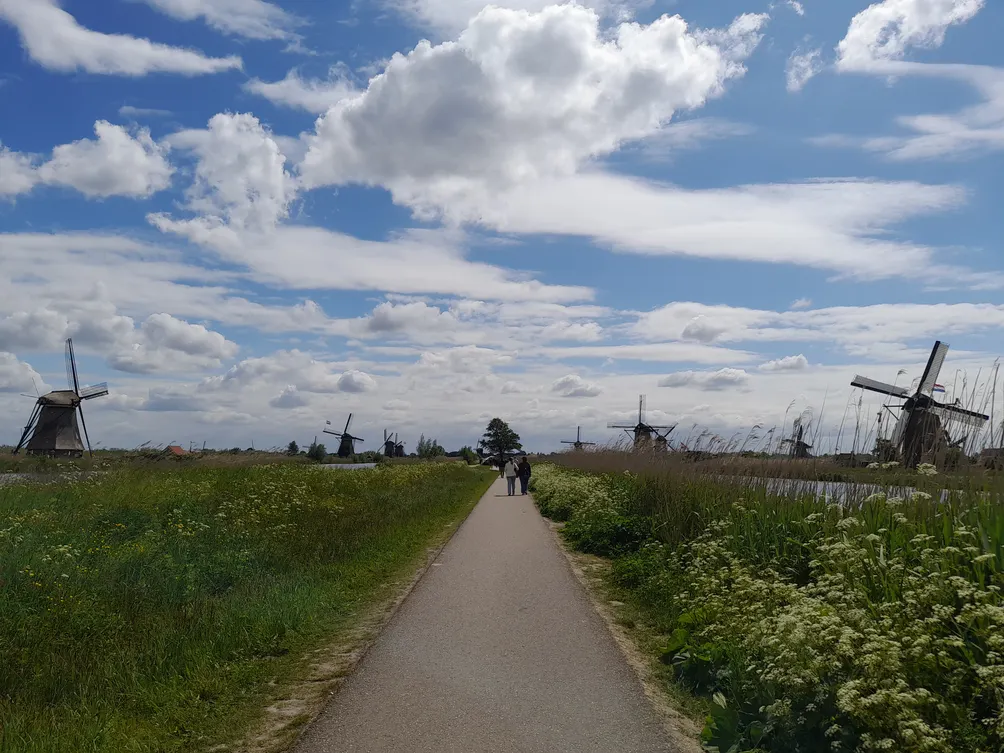 透明方塊的沙龍