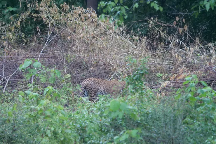 謝謝你等我！！！！！