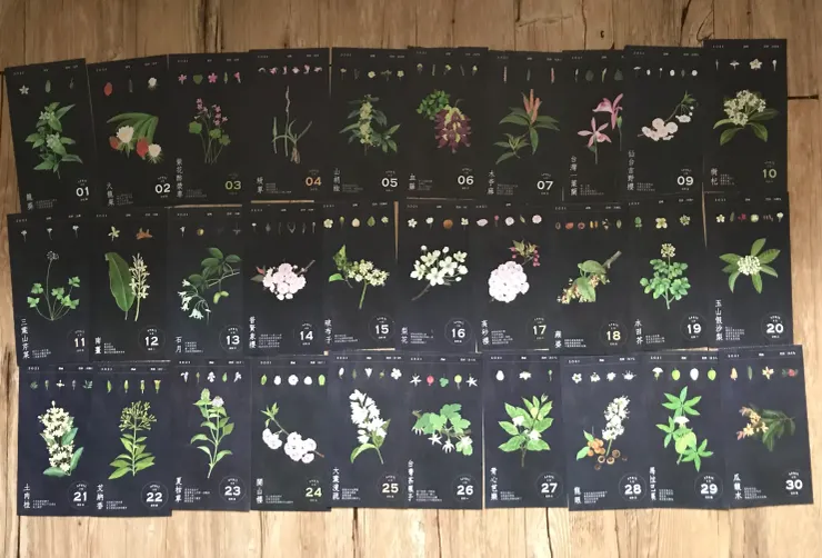 4月種籽花曆 節氣橫跨春分、清明和穀雨