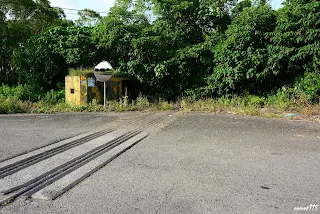 向北拍