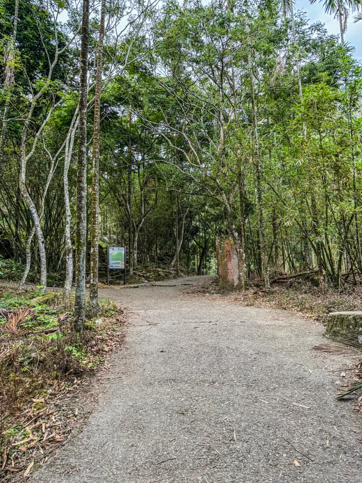 7:01 續行往大凍山/雞籠山叉路口