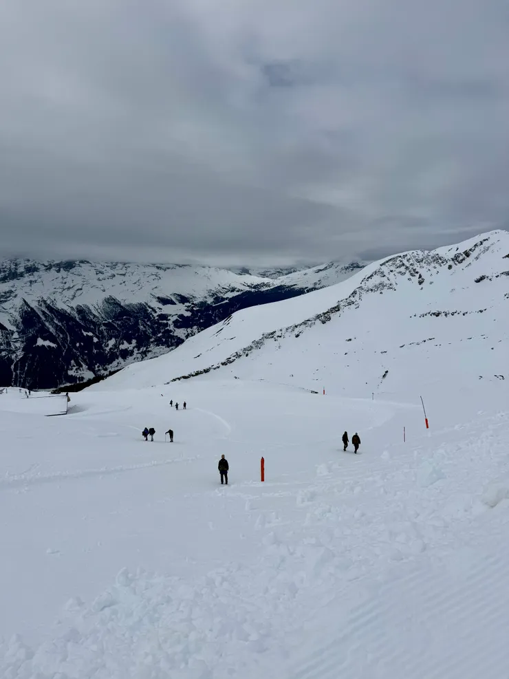 在雪地健行雖然辛苦但是景色也很美