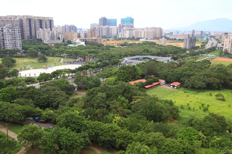 大片綠地後來幾乎都建起了世大運選手村。 照片來源：台灣護樹團體聯盟 