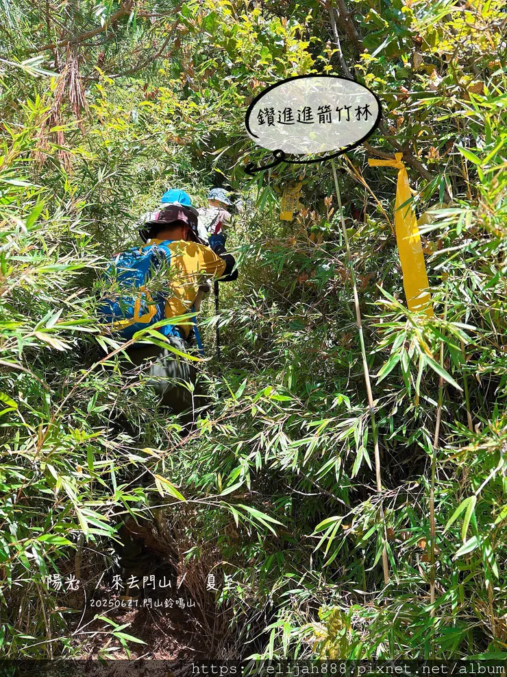 【閂山鈴鳴山.挑戰兩日走50公里】王小明民宿/730林道/ 