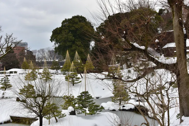 圓潤潤的積雪為蕭瑟的冬天增添了一抹視覺上的美感