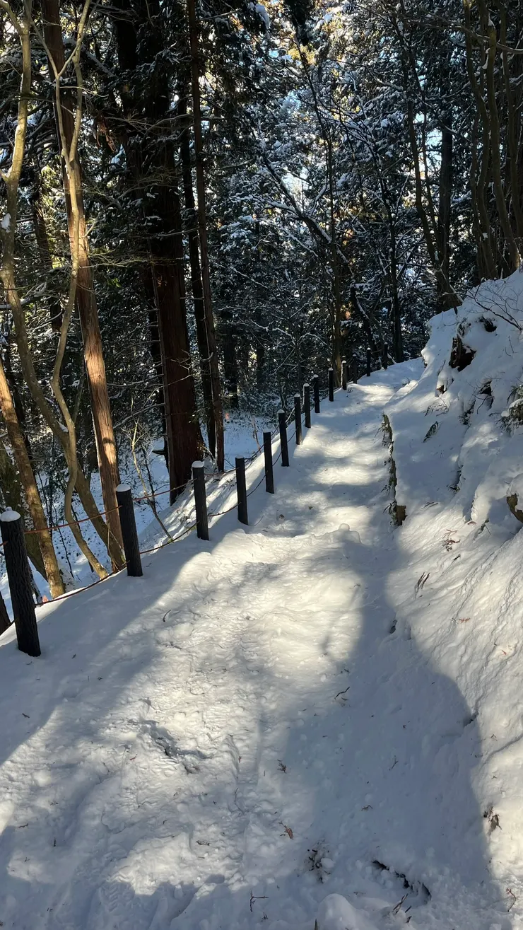 畢竟融雪之際更滑了。