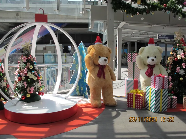 雖然我不是熊熊控，但看到這些可愛的熊也忍不住拍下來。