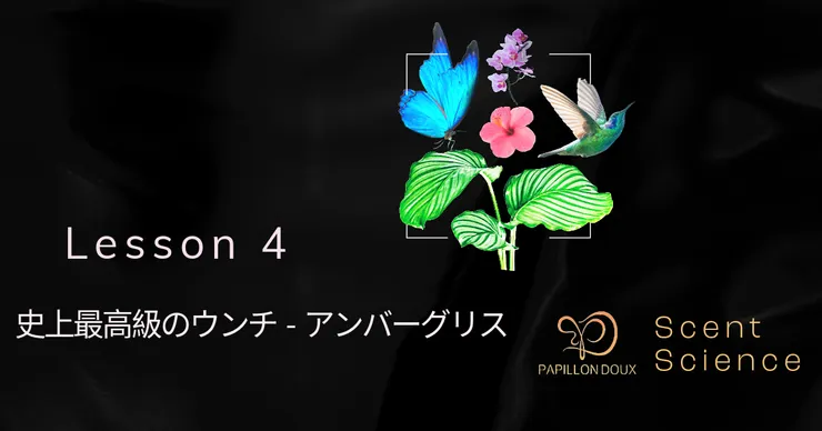 史上最高級のウンチ-アンバーグリス 