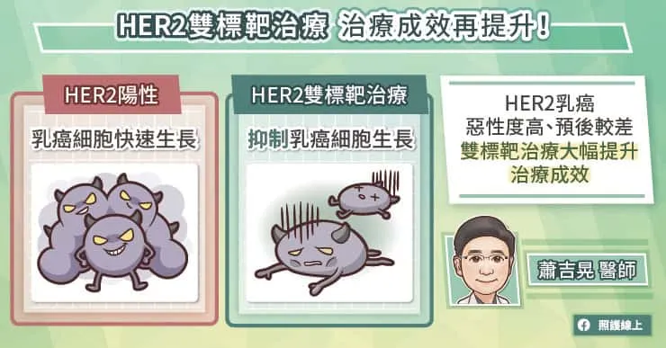 ER2雙標靶治療