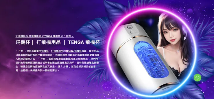 飛機杯，打飛機用品，TENGA 飛機杯