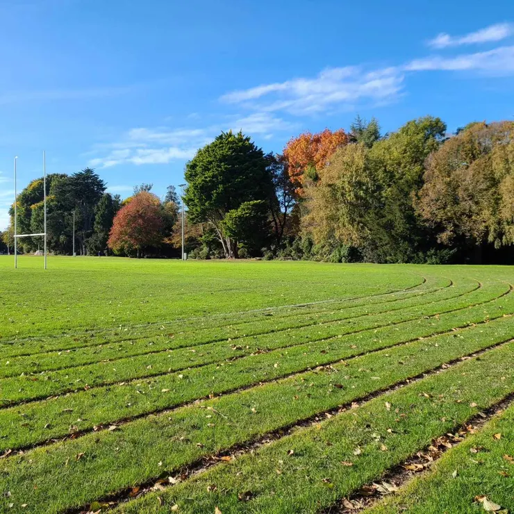 耳聞已久的紐西蘭草皮田徑場，維護狀況相當良好，距離也是標準400場，基本上操作任何練習都沒有問題 