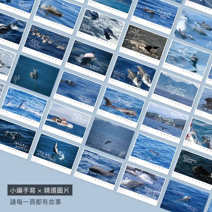 2026桌曆 週曆 多羅滿賞鯨