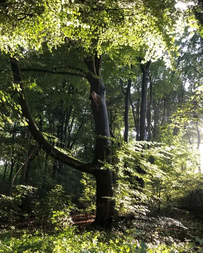 植物訊息｜比你想像更多的人在等待著你的故事