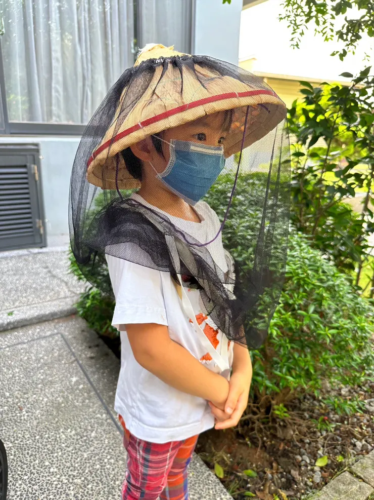 穿戴斗笠護網後就開始生態導覽。