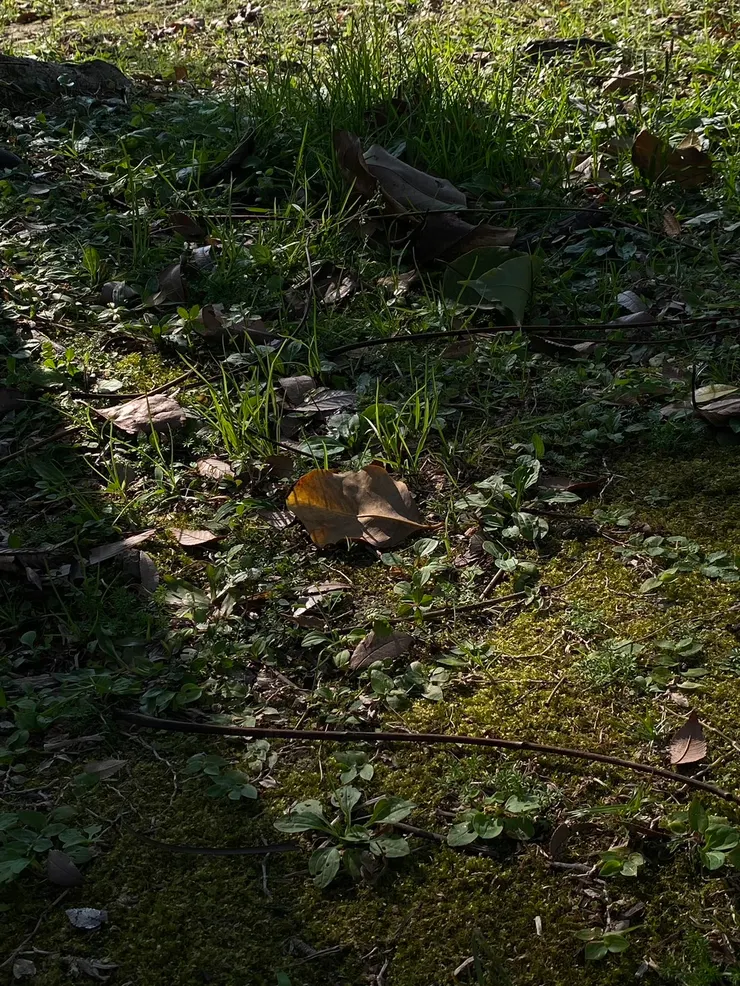 所謂的簡單，其實不簡單