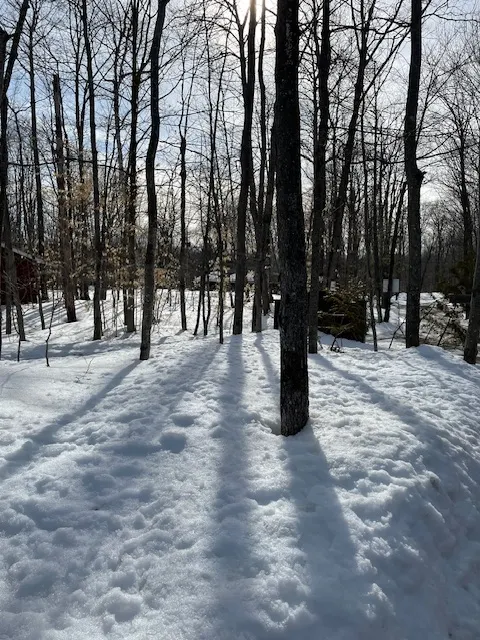 畢竟這是加拿大，不是英國呀！