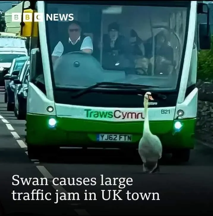 圖片來源：BBC News