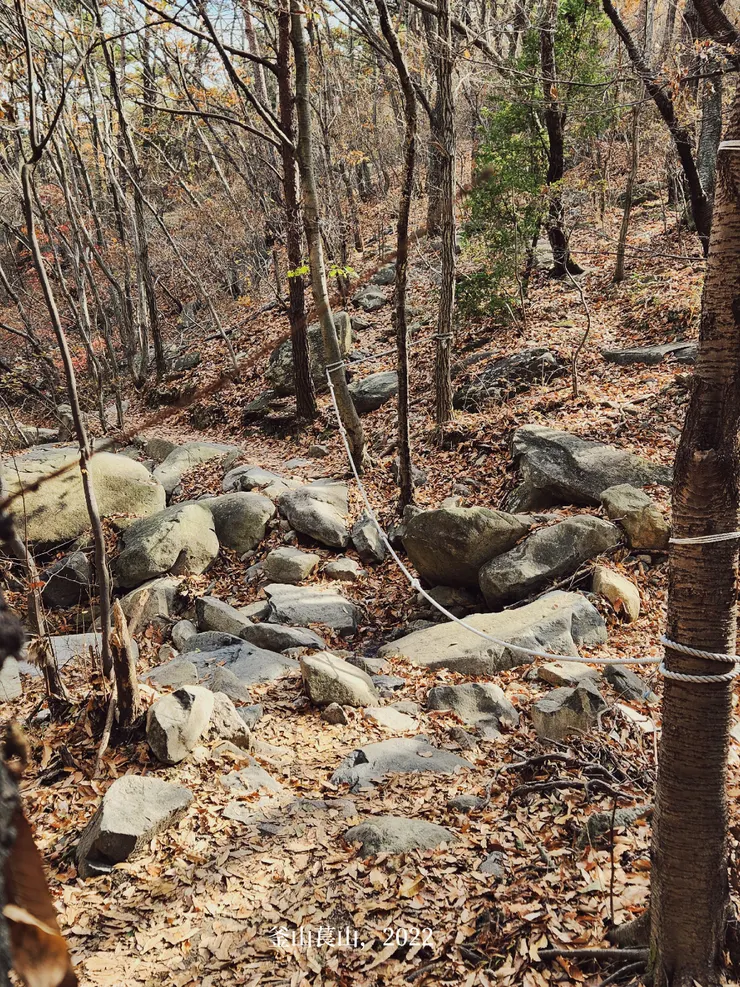 選了左邊的路以後，會先沿著溪谷往上