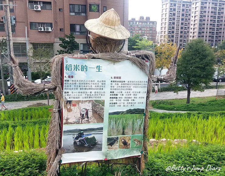 ▲大有梯田生態公園/圖片來源：Betty's Jump Diary