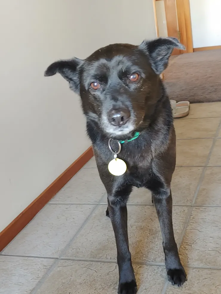 難以承受別離之苦