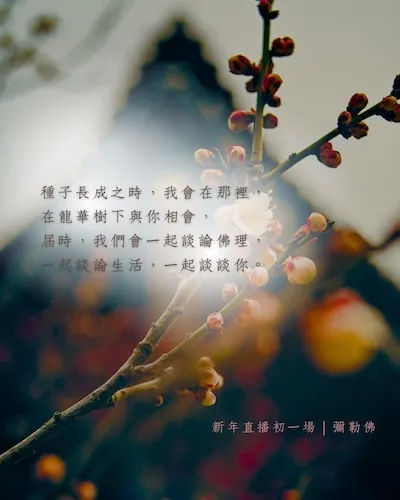 林晴晴/  紀金慶 老師 2026 新春開講 彌勒佛