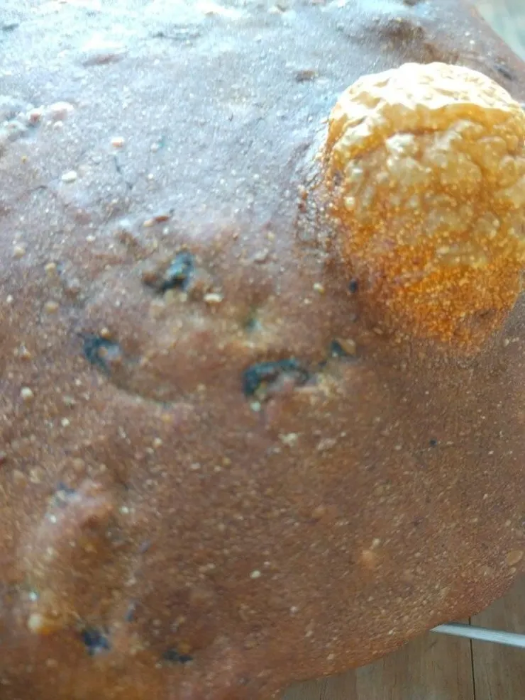 氣泡烘烤之後變小了；夢想是禁不起考驗的。