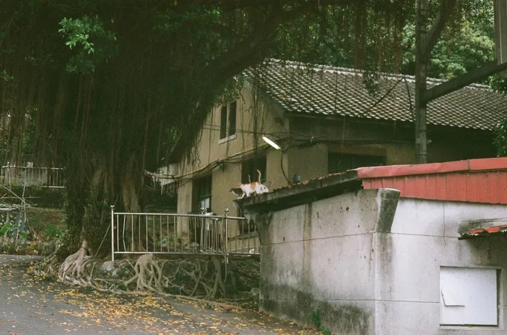 2018 年，攝於樂生院。／影像提供：黃曦