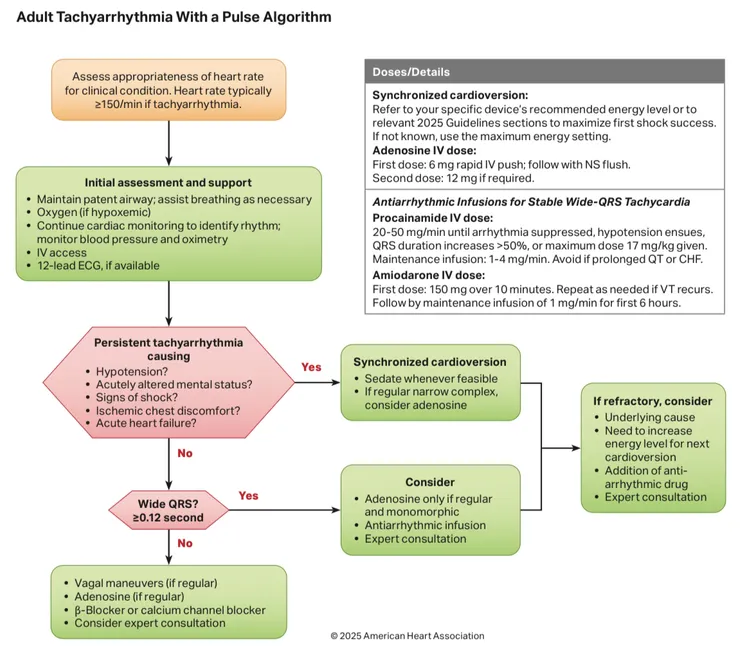 Tachycardia 處理流程（2025 AHA)