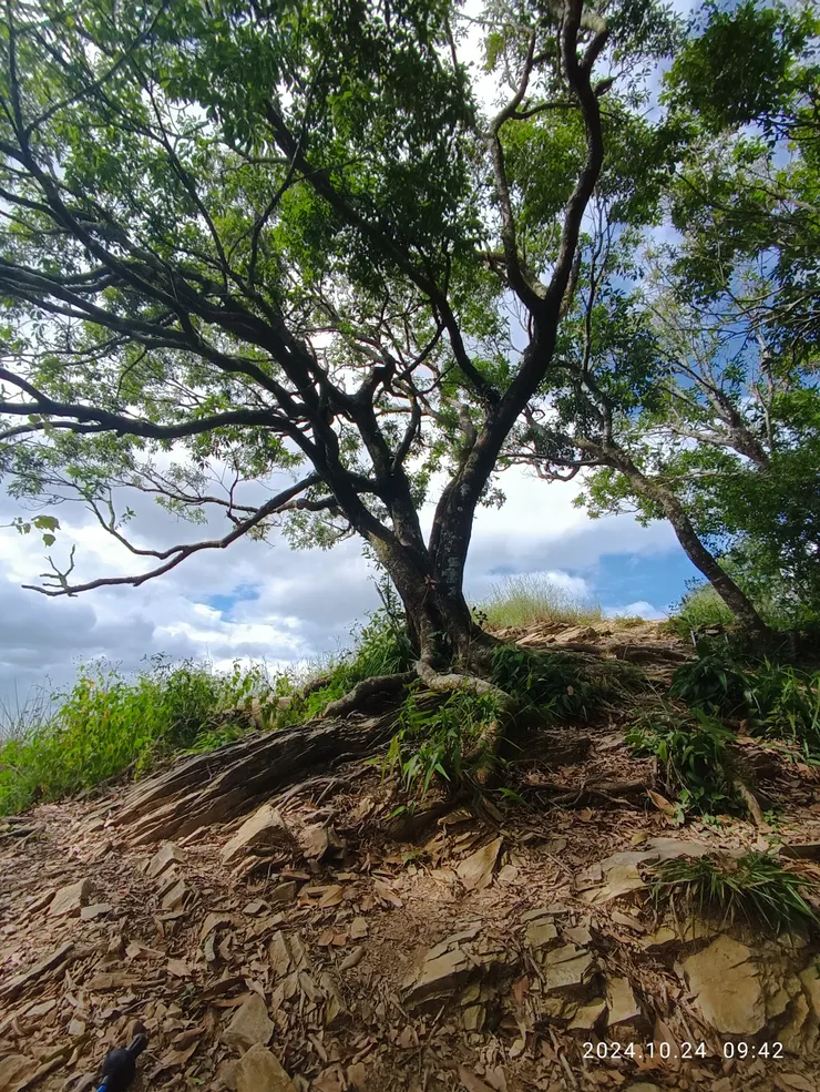 登高走稜線，自拍攝