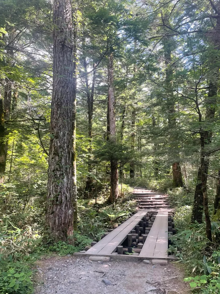 Be the light.  The road unfolds ahead, and we're aside.