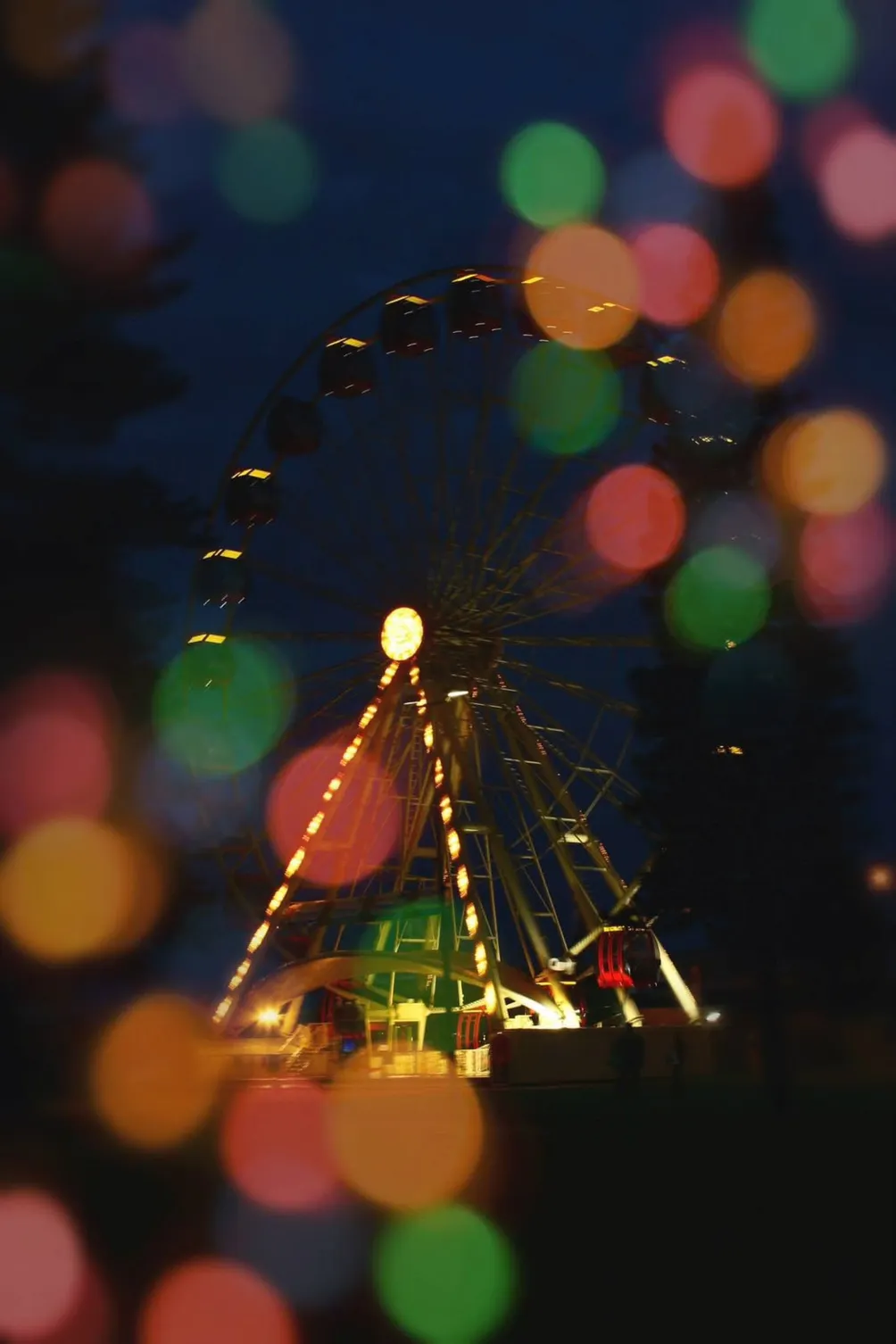 Irene Chou 寫寫小說